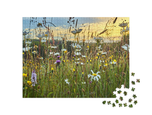 Puzzle 1000 Teile „Eine Wildblumenheuwiese im Sommer“