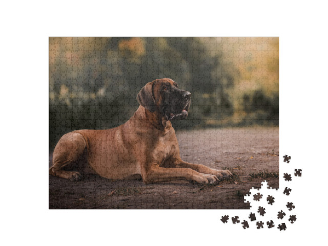 Puzzle 1000 Teile „Die Deutsche Dogge“