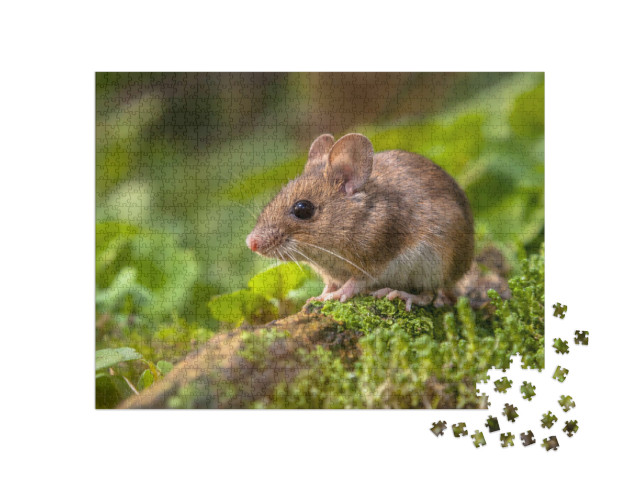 Puzzle 1000 Teile „Eine kleine süße Waldmaus“