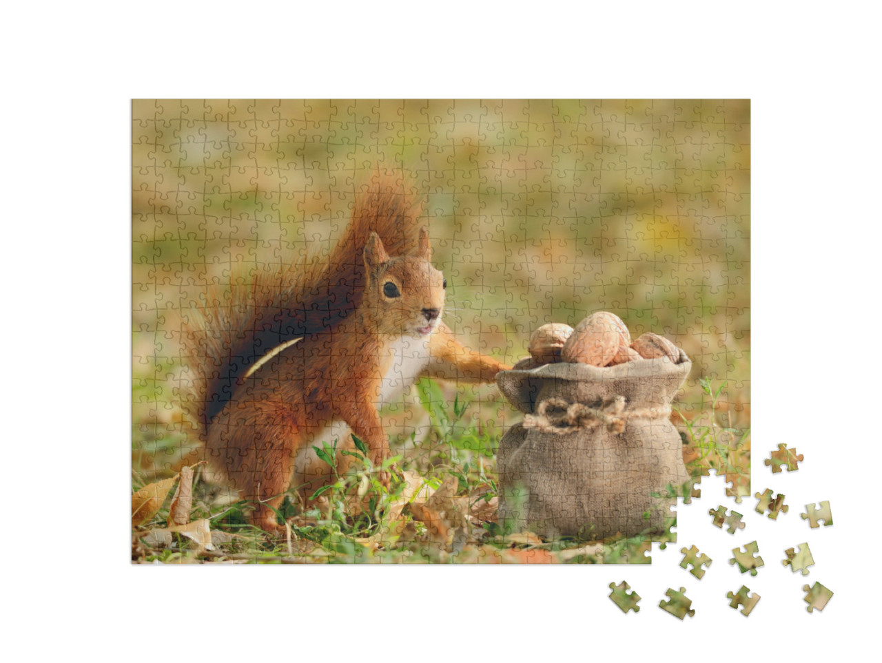 Puzzle 500 Teile „Porträt eines roten Eichhörnchens, das eine Tüte mit Nüssen hält“
