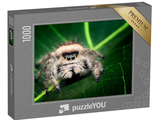 Puzzle 1000 Teile „Illustration einer weiblichen Springspinne“