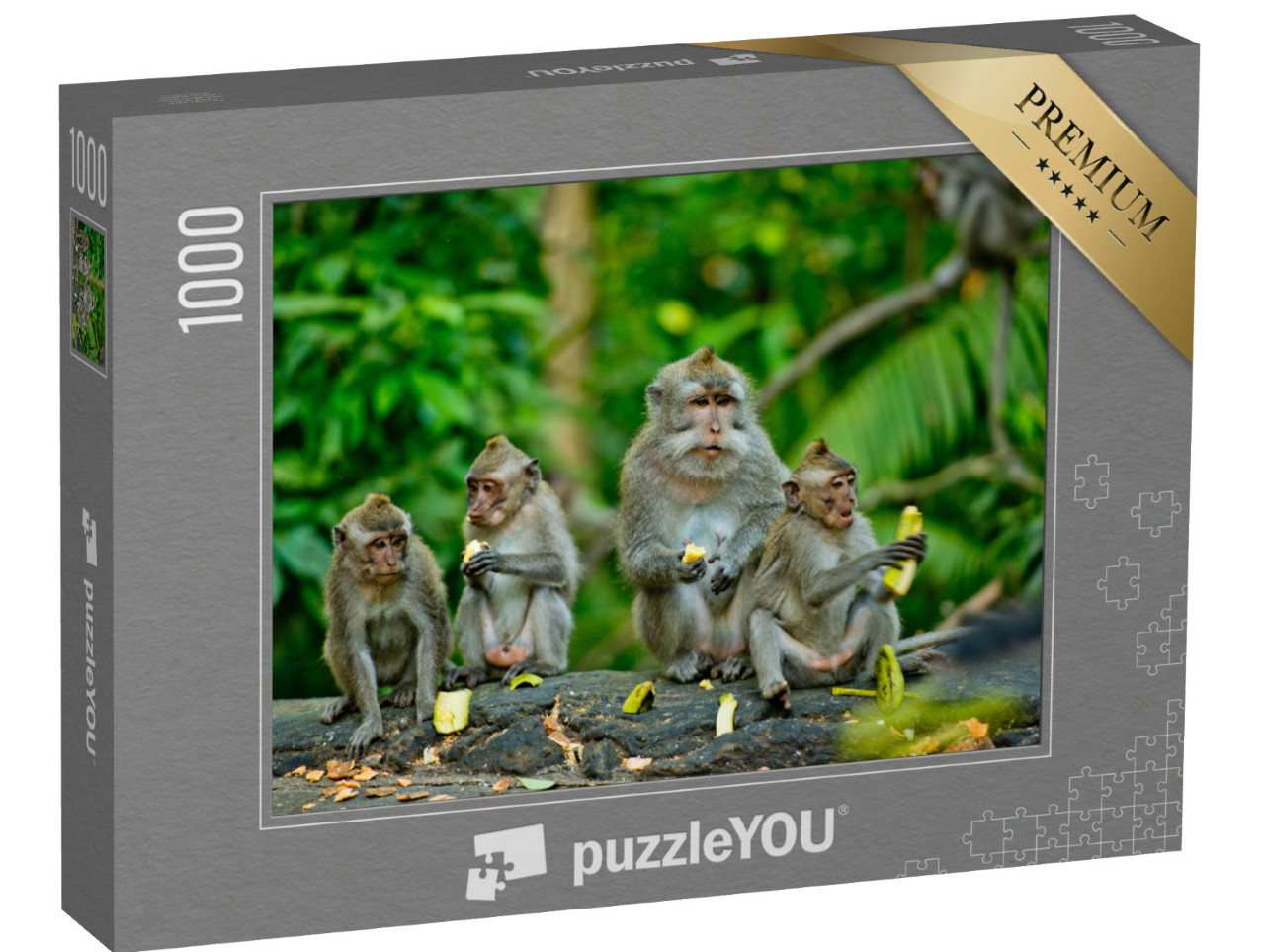 Puzzle 1000 Teile „Erwachsene Affen essen Bananen, Bali“