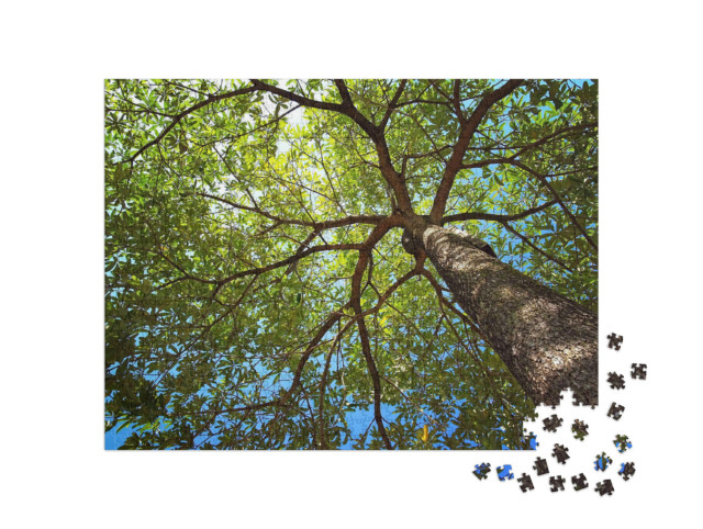 Puzzle 1000 Teile „Eine Baumkrone im Sommer “