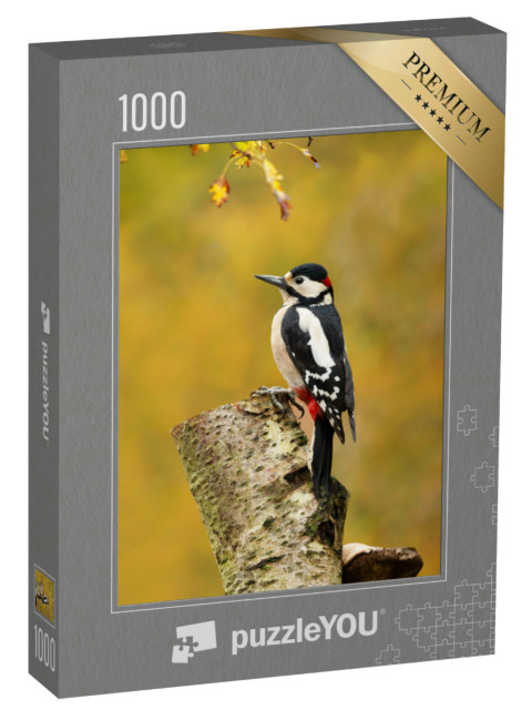 Puzzle 1000 Teile „Buntspecht auf einem Birkenstamm“
