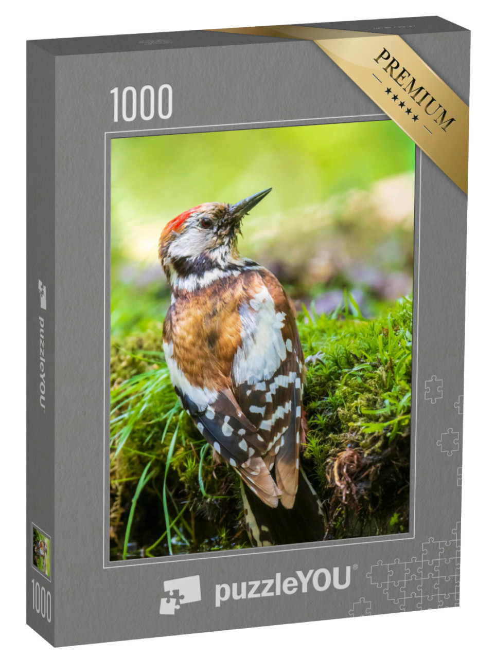 Puzzle 1000 Teile „Nahaufnahme eines Mittelspechts“