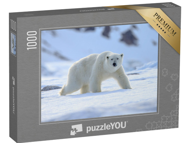 Puzzle 1000 Teile „Ein Eisbär, Ursus maritimus“