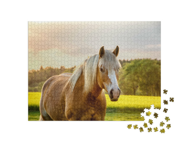 Puzzle 1000 Teile „Pferd im goldenen Sonnenuntergang“
