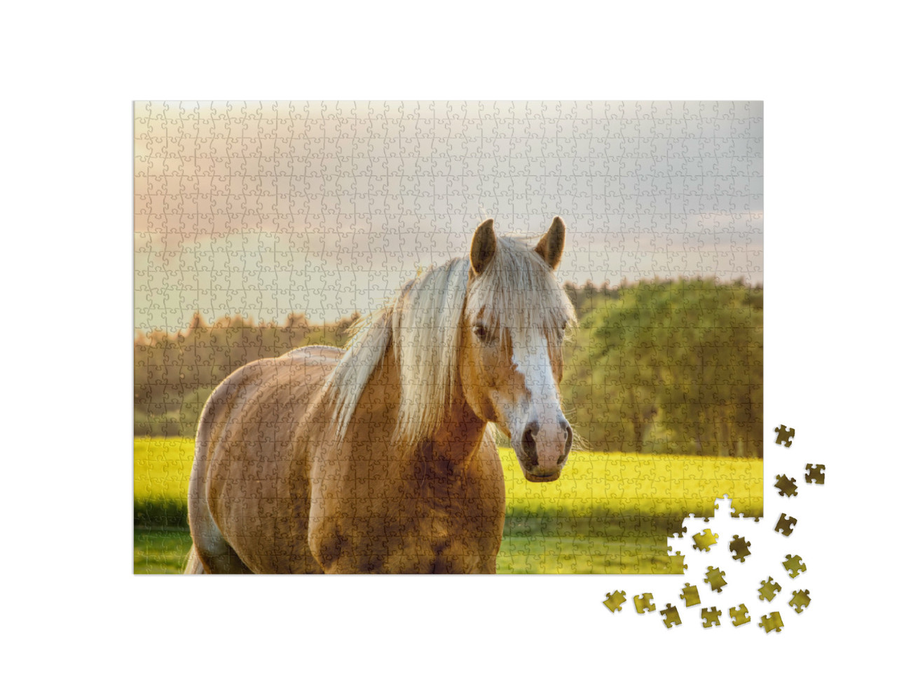 Puzzle 1000 Teile „Pferd im goldenen Sonnenuntergang“