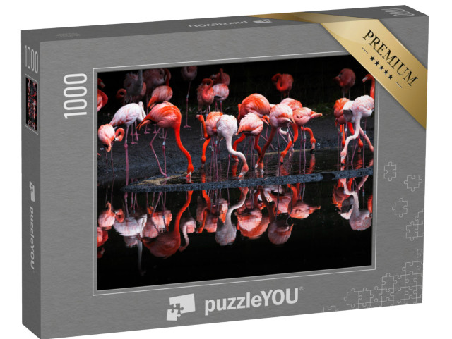 Puzzle 1000 Teile „Gruppe von leuchtenden Flamingos“