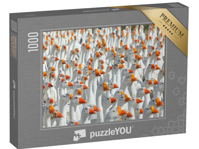 Puzzle 1000 Teile „Riesige Schar weißer Gänse“