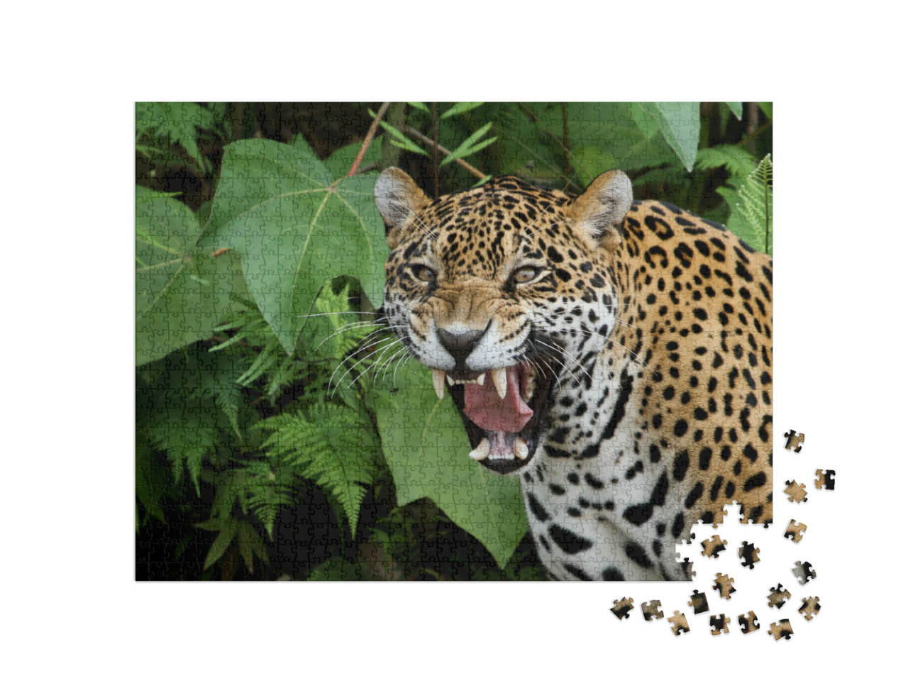 Puzzle 1000 Teile „Jaguar im Amazonaswald“