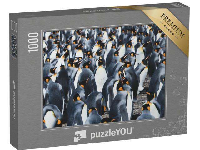 Puzzle 1000 Teile „Große Kolonie von Königspinguinen auf den Falklandinseln“