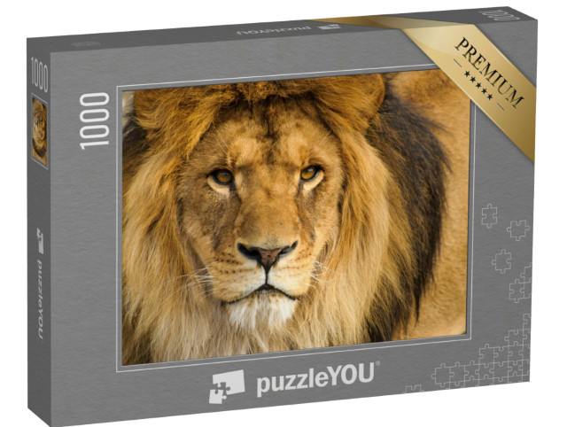 Puzzle 1000 Teile „Portrait eines männlichen Löwen“