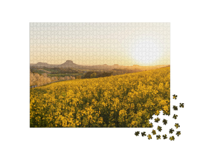Puzzle 1000 Teile „Schönes Rapsfeld vor der Sächsischen Schweiz, Blick auf Sandsteinberge“