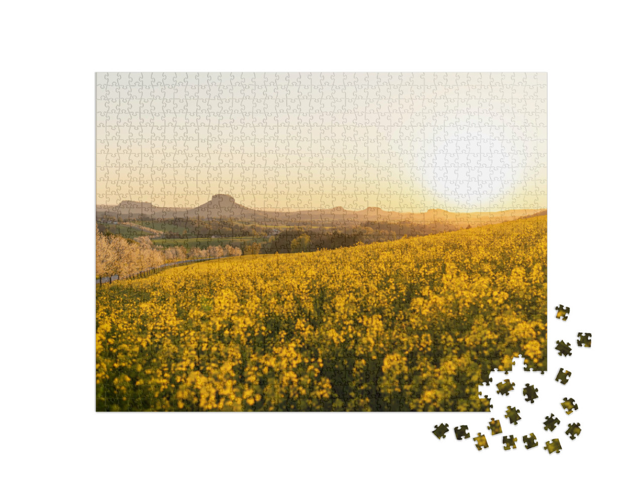 Puzzle 1000 Teile „Schönes Rapsfeld vor der Sächsischen Schweiz, Blick auf Sandsteinberge“