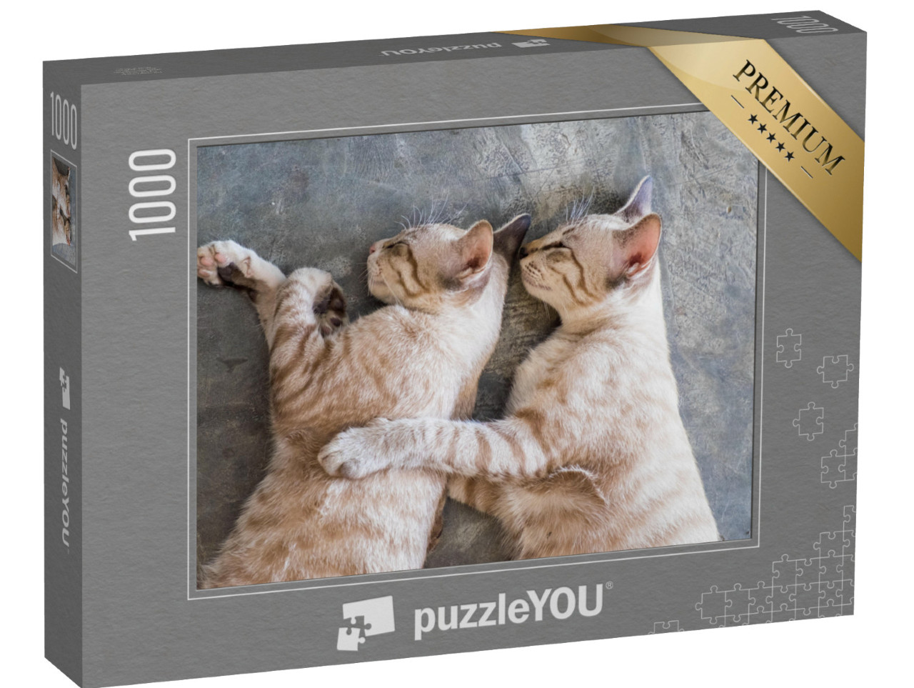 Puzzle 1000 Teile „Zwei Katzen beim Mittagsschlaf“