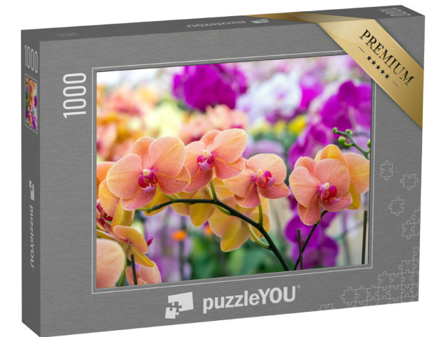 Puzzle 1000 Teile „Schönheit der Natur: Orchideen“