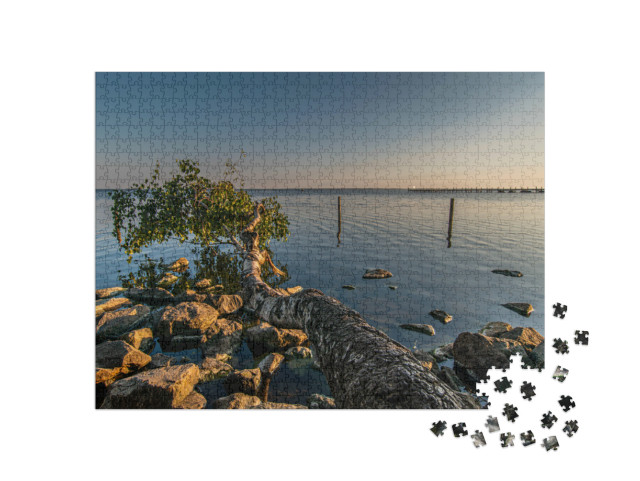 Puzzle 1000 Teile „Natur am Steinhuder Meer“