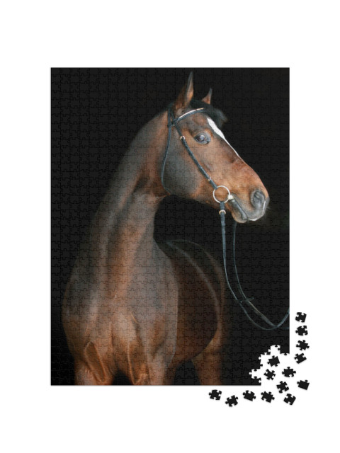 Puzzle 1000 Teile „Braunes Pferd “