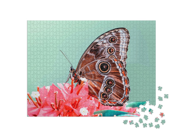 Puzzle 1000 Teile „Ein Schmetterling“
