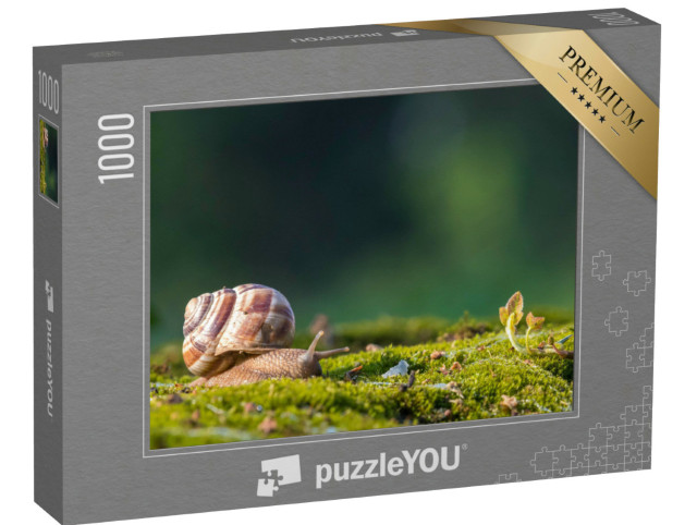Puzzle 1000 Teile „Burgunderschnecke, auch bekannt als Römische Schnecke oder Weinbergschnecke“