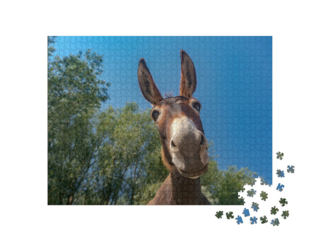 Puzzle 1000 Teile „Nahaufnahme eines Eselkopfes“