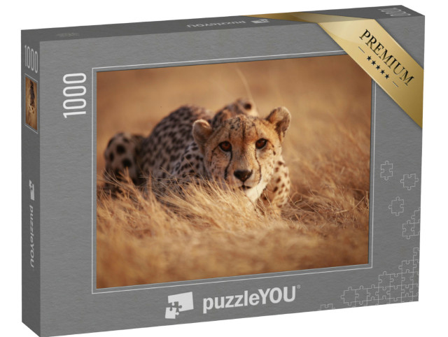 Puzzle 1000 Teile „Gepard, bereit zum Sprung“
