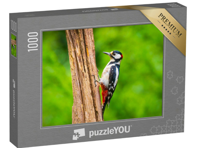 Puzzle 1000 Teile „Nahaufnahme eines Buntspechts“