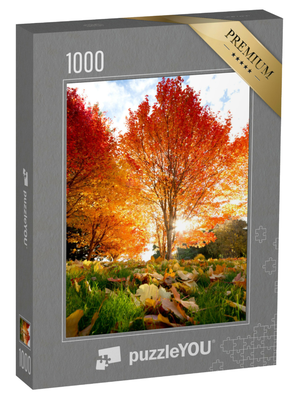 Puzzle 1000 Teile „Lichtdurchfluteter Baum mit rotem Laub im Herbst“