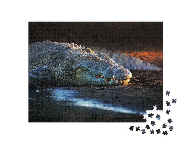 Puzzle 1000 Teile „Nilkrokodil im Krüger-Nationalpark, Südafrika“