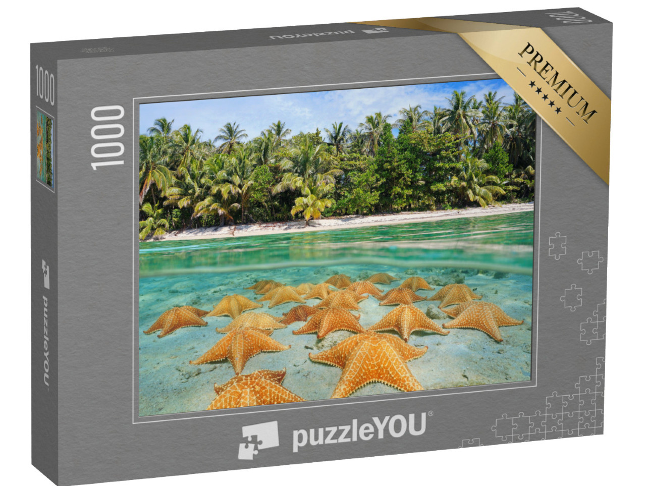 Puzzle 1000 Teile „Eine Gruppe Seesterne am karibischen Strand“