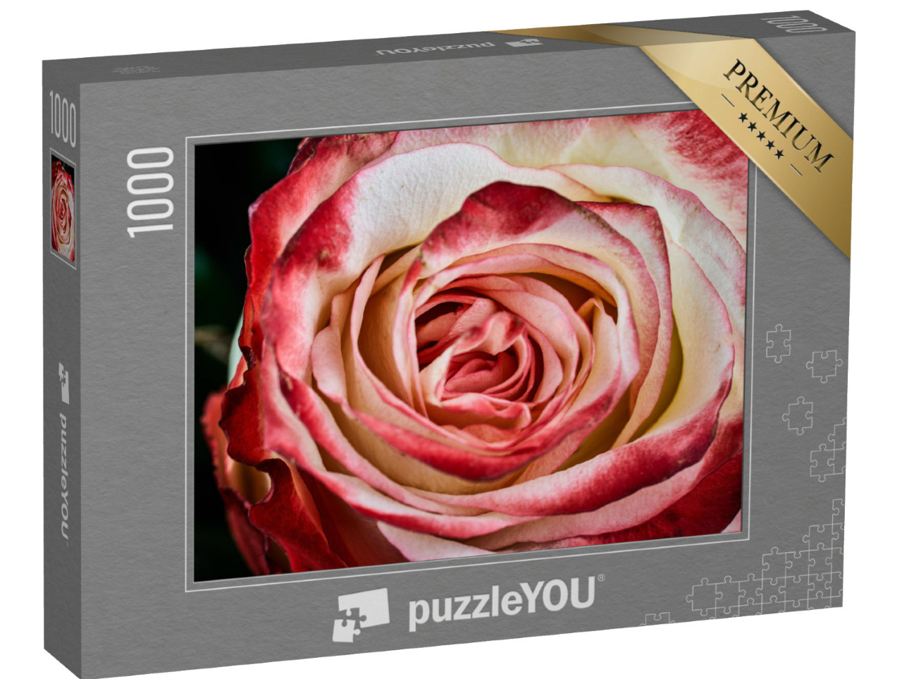 Puzzle 1000 Teile „Rote und weiße Rose “