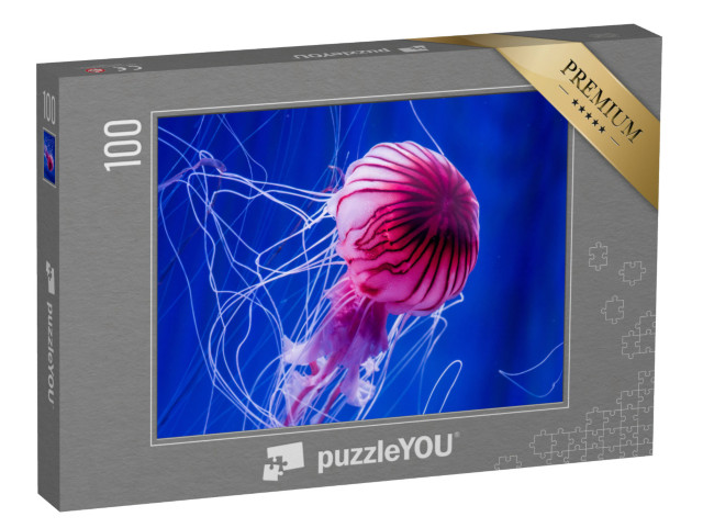 Puzzle 100 Teile „Rosa Qualle vor einem blauen Meereshintergrund“