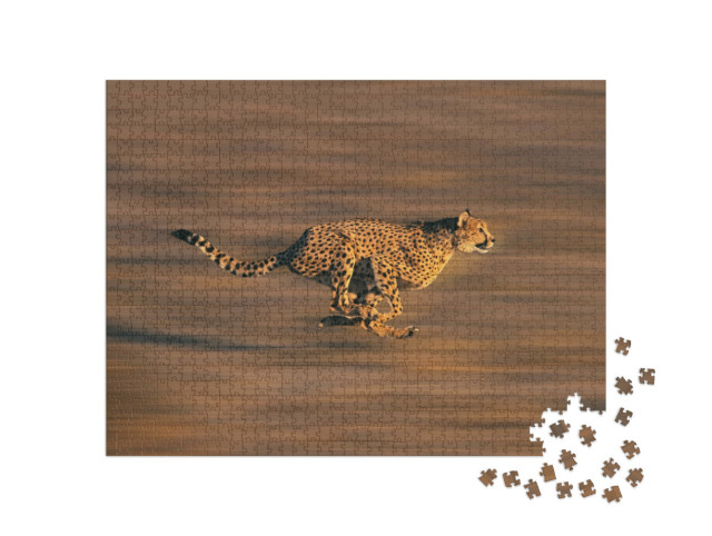 Puzzle 1000 Teile „Gepard in vollem Lauf“