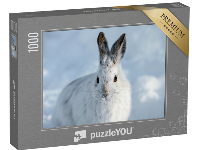 Puzzle 1000 Teile „Weißer Schneeschuhhase mit braunen Ohren“