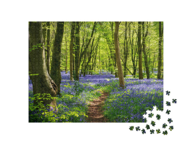 Puzzle 1000 Teile „Sonnenlicht in einem Blauglockenwald mit tiefblauen, violetten Blüten“