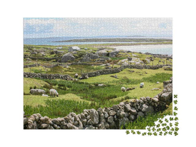 Puzzle 2000 Teile „Irische Steinmauern an der Küste“
