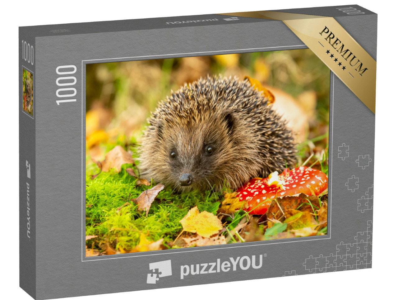 Puzzle 1000 Teile „Igel und Fliegenpilz“