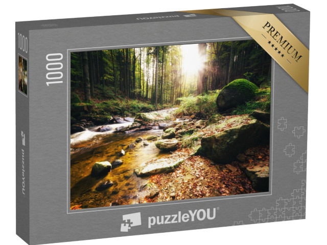 Puzzle 1000 Teile „Sonniger Tag am Bach im Ilsetal, Harz“