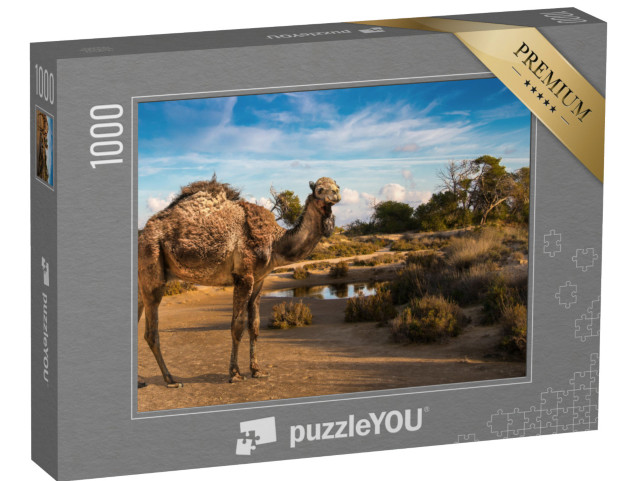 Puzzle 1000 Teile „Ein zotteliges Dromedar an einem Wasserloch“