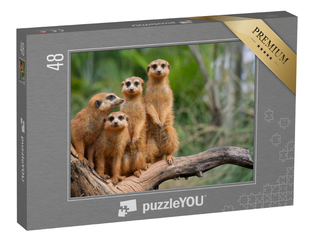 Puzzle 48 Teile „Familie der Erdmännchen“