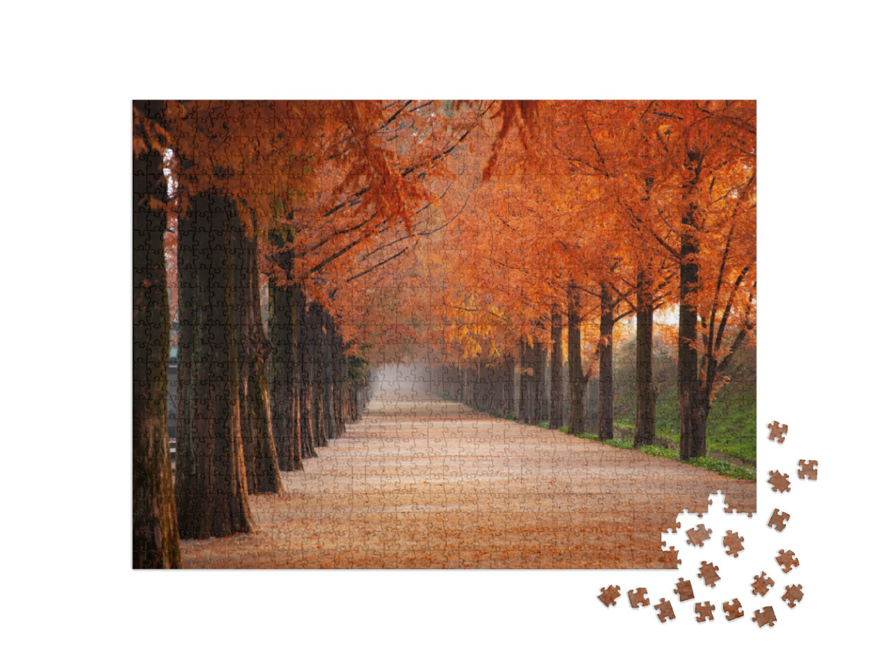 Puzzle 1000 Teile „Baumreihen“