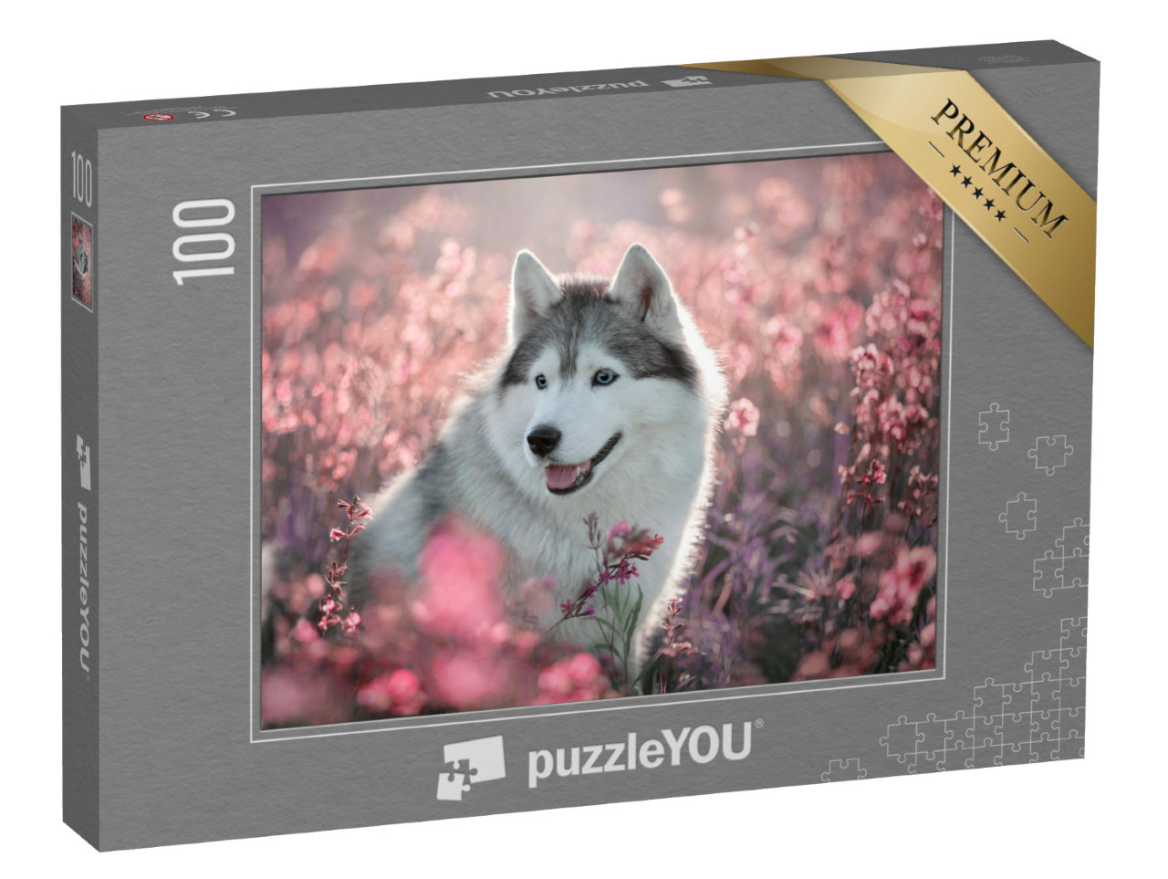 Puzzle 100 Teile „Wundeschöner Husky auf einem blühenden Feld“