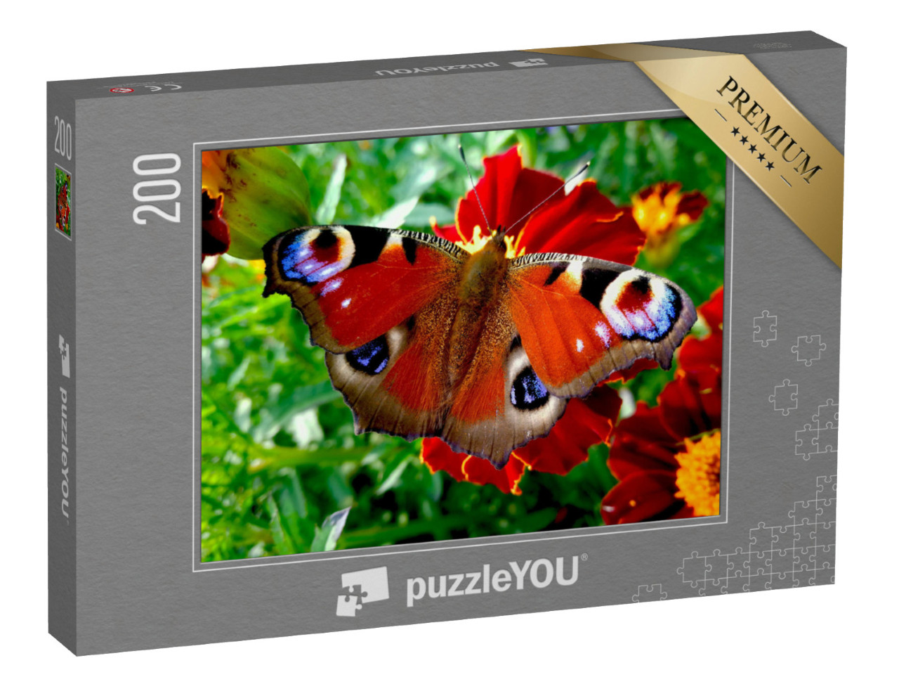 Puzzle 200 Teile „Tagpfauenauge auf einer roten Blüte“