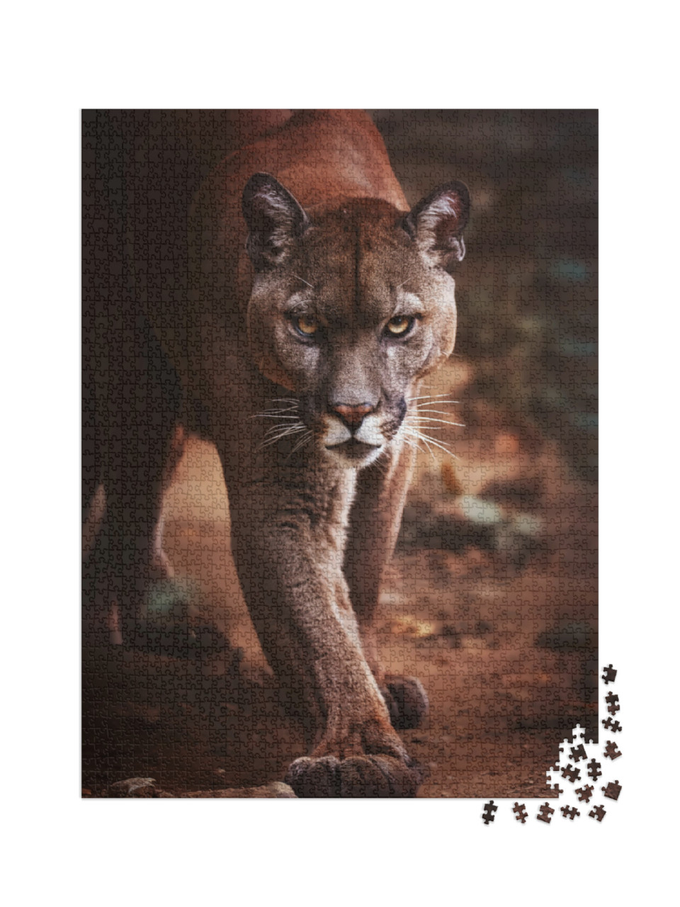 Puzzle 2000 Teile „Ein Puma schleicht sich an“