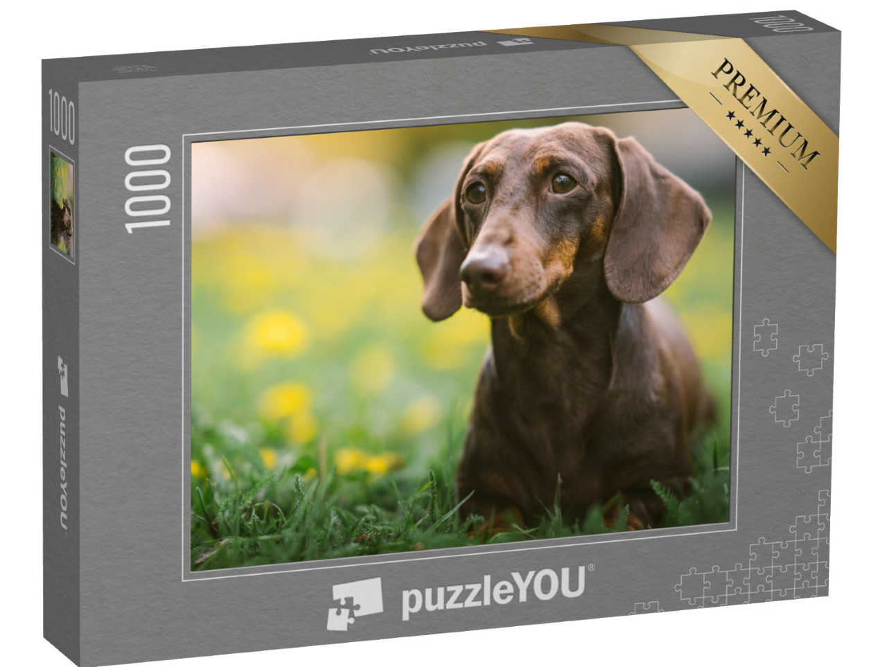 Puzzle 1000 Teile „Frühlingsporträt eines braunen Dackels“