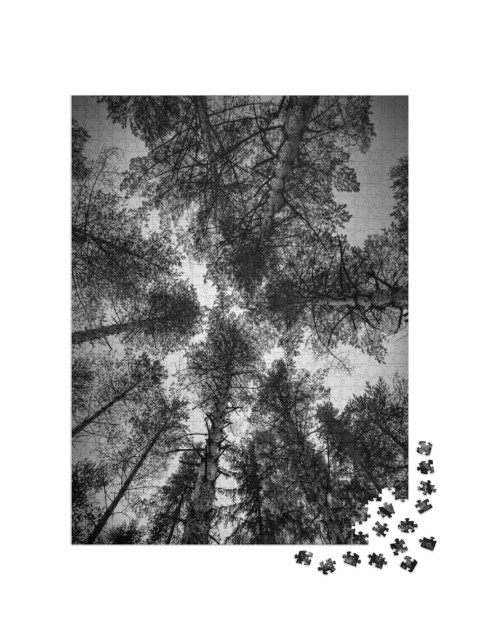 Puzzle 1000 Teile „Schwarz-Weiß-Landschaftsbilder“