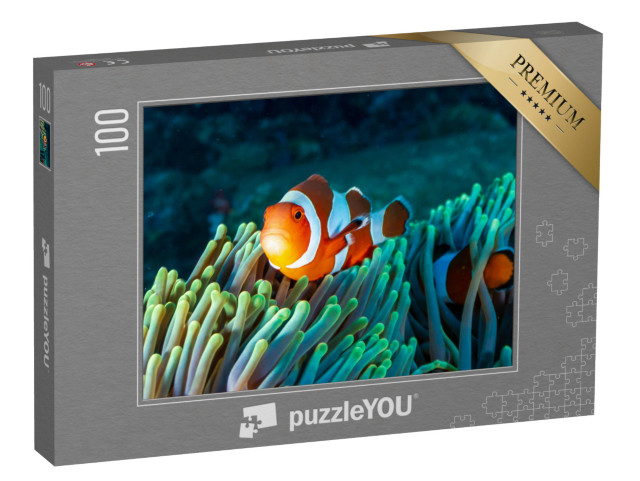 Puzzle 100 Teile „Bunter Clownfisch in einer Anemone im Korallenriff“