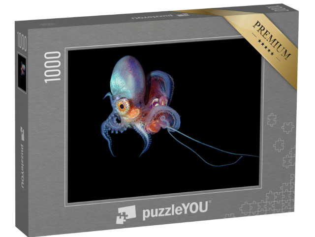 Puzzle 1000 Teile „Unterwasserfoto einer Löcherkrake“
