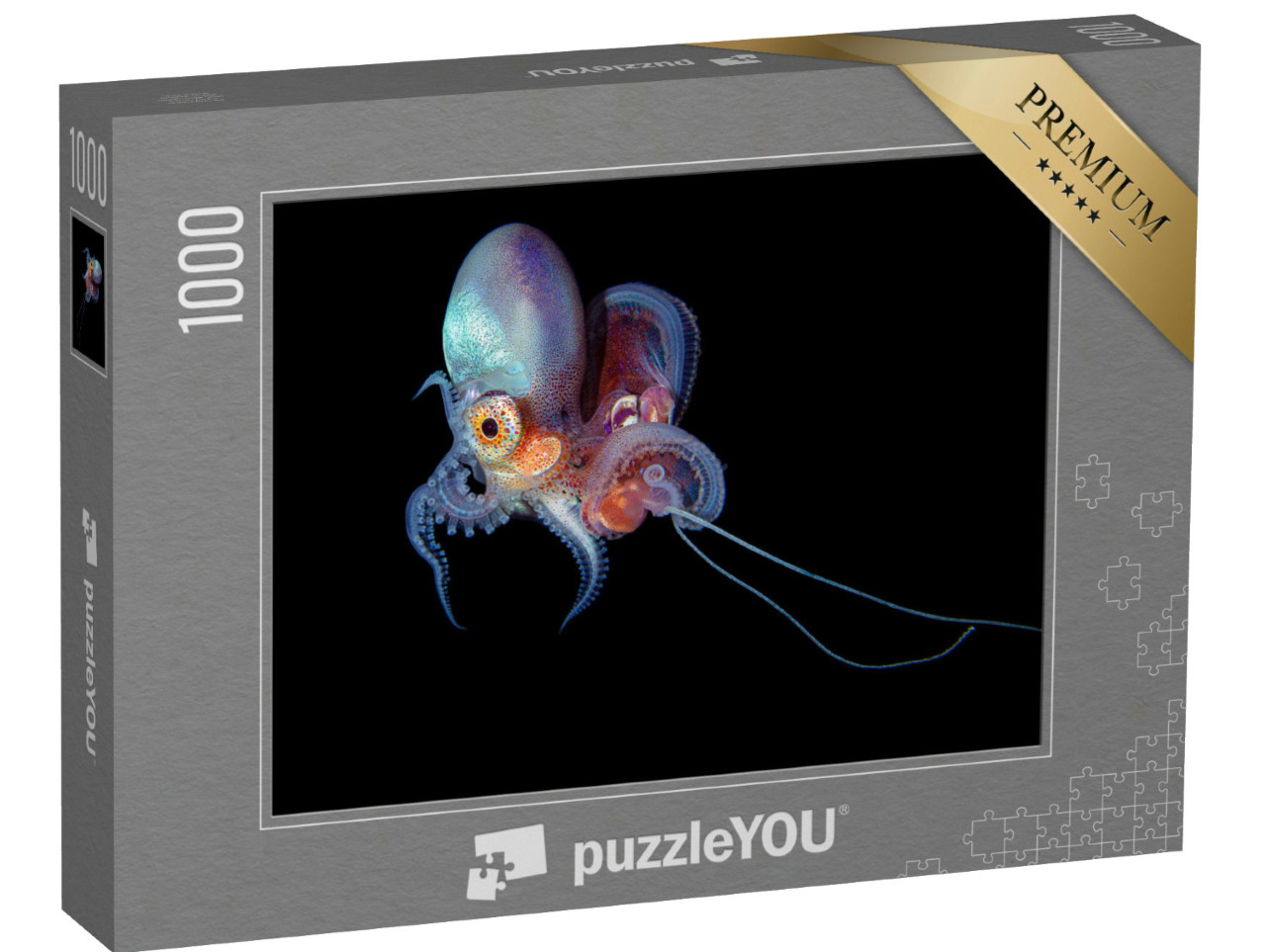 Puzzle 1000 Teile „Unterwasserfoto einer Löcherkrake“